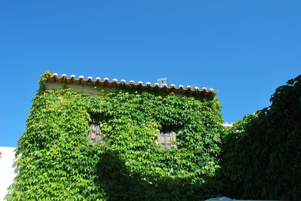 Hotel Rio Natural à Vila Nova de Milfontes Extérieur photo